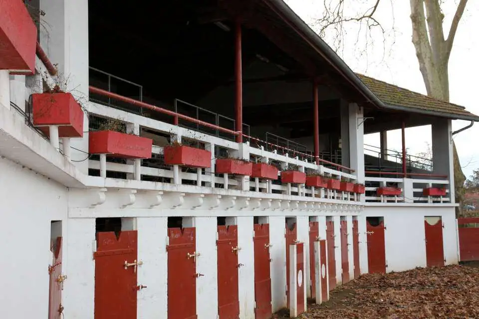 Arènes et monument Paul Daverat