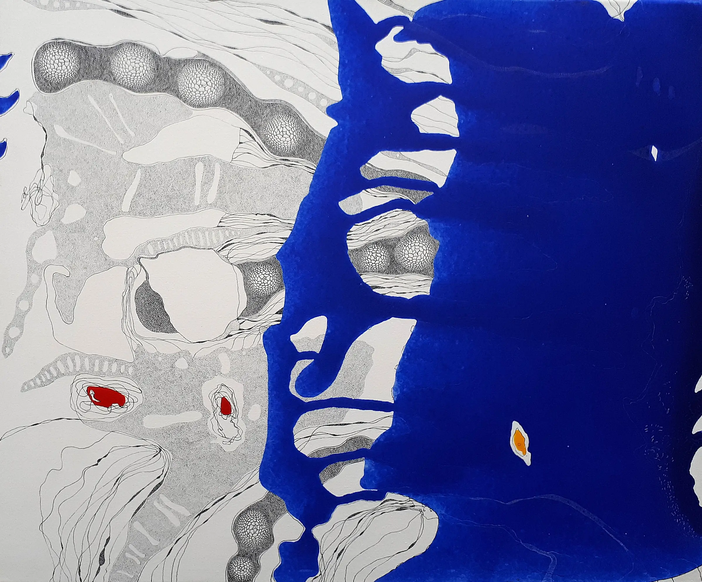 Exposition : "Suite en Bleu"  de Didier Le Gleuher