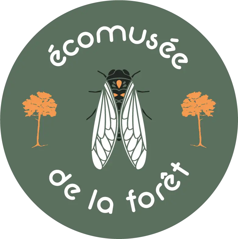 Le petit festival de la forêt à l'Ecomusée