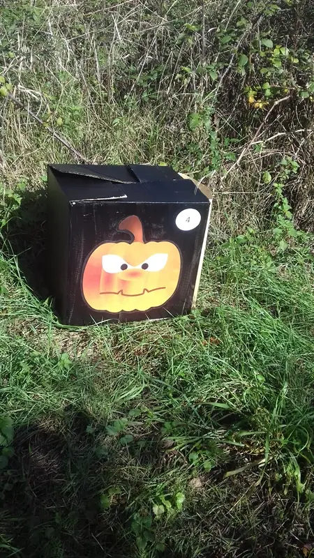 A la recherche du trésor d'Halloween au Bois des Roches
