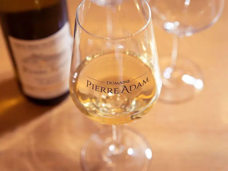 Parenthèse Vigneronne : Initiation à la dégustation