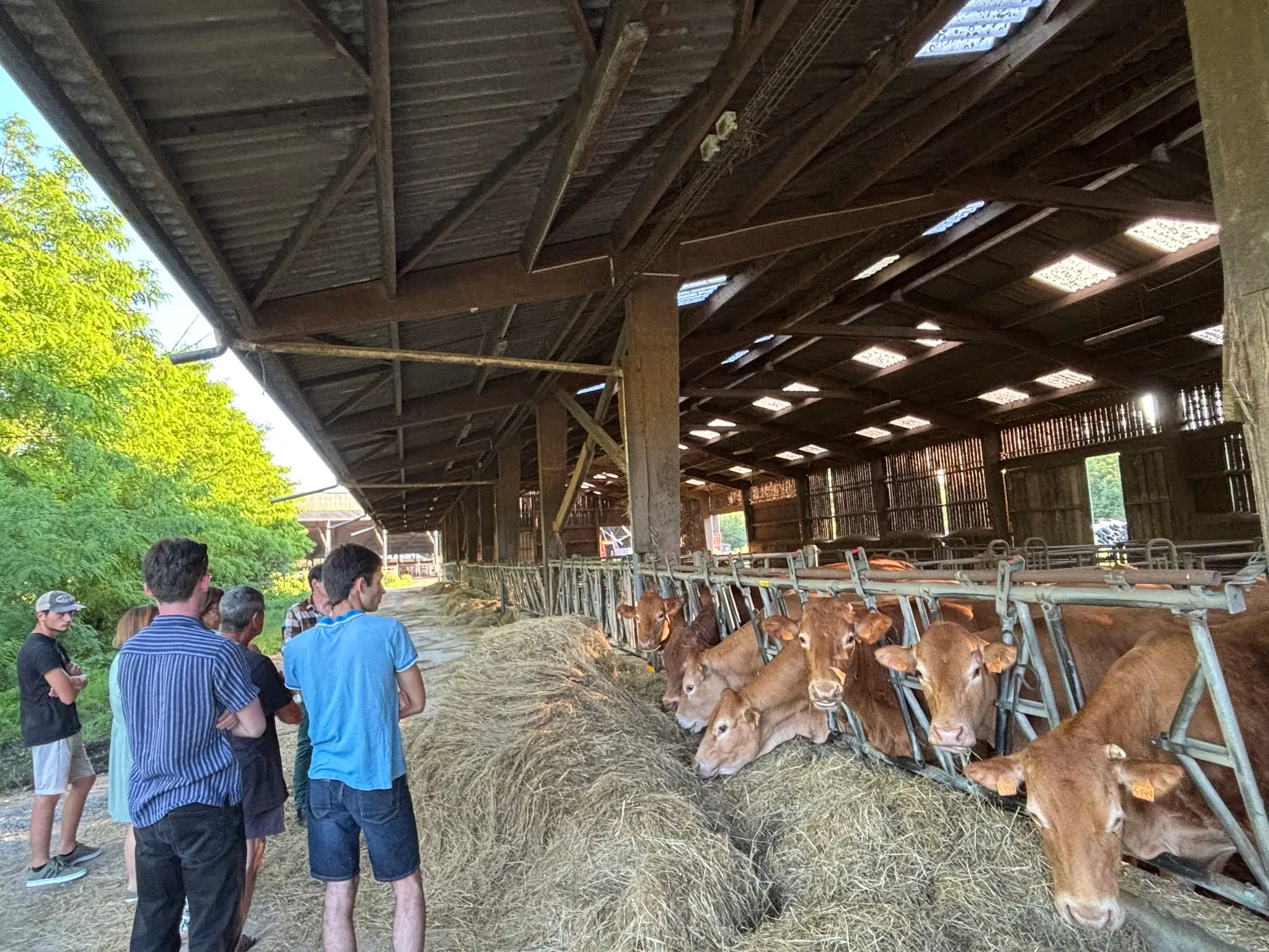 Les mercredis à la ferme