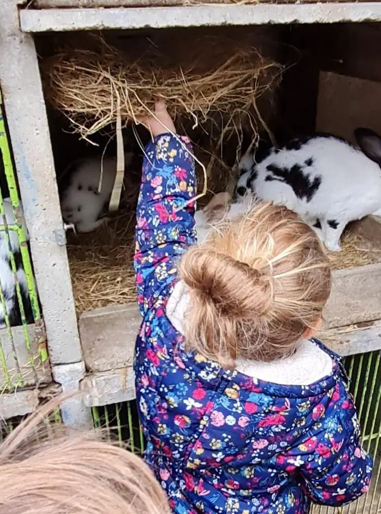 Une journée à la ferme