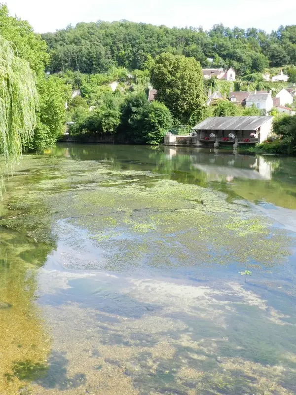 Visite du village médiéval de Lavardin
