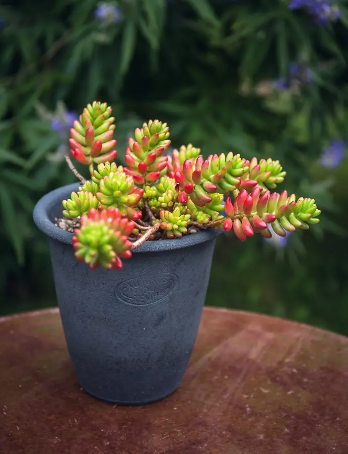 Poterie Au Grès du Temps