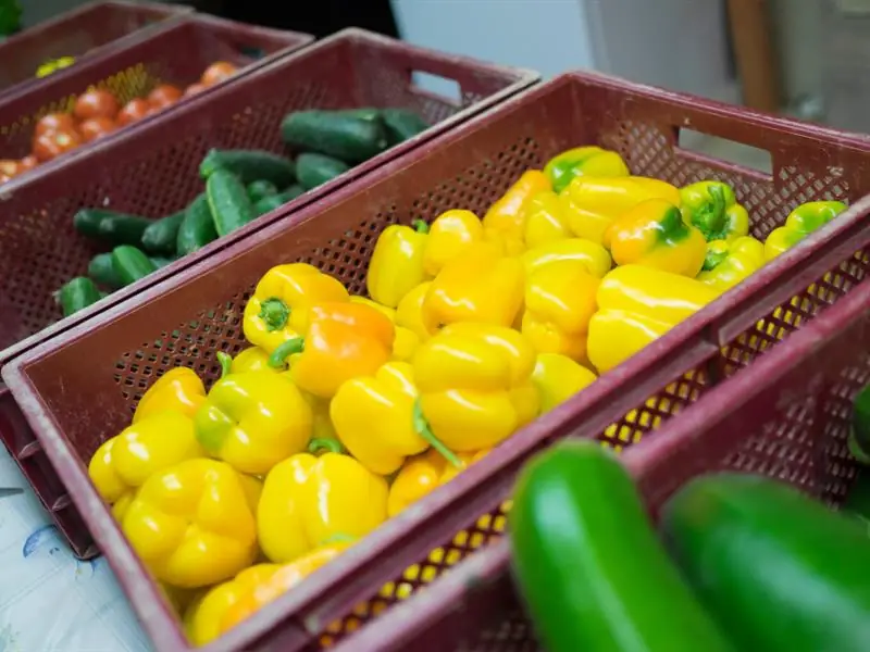 Les Saveurs de Kienheim : une déclinaison de fruits et légumes de saison