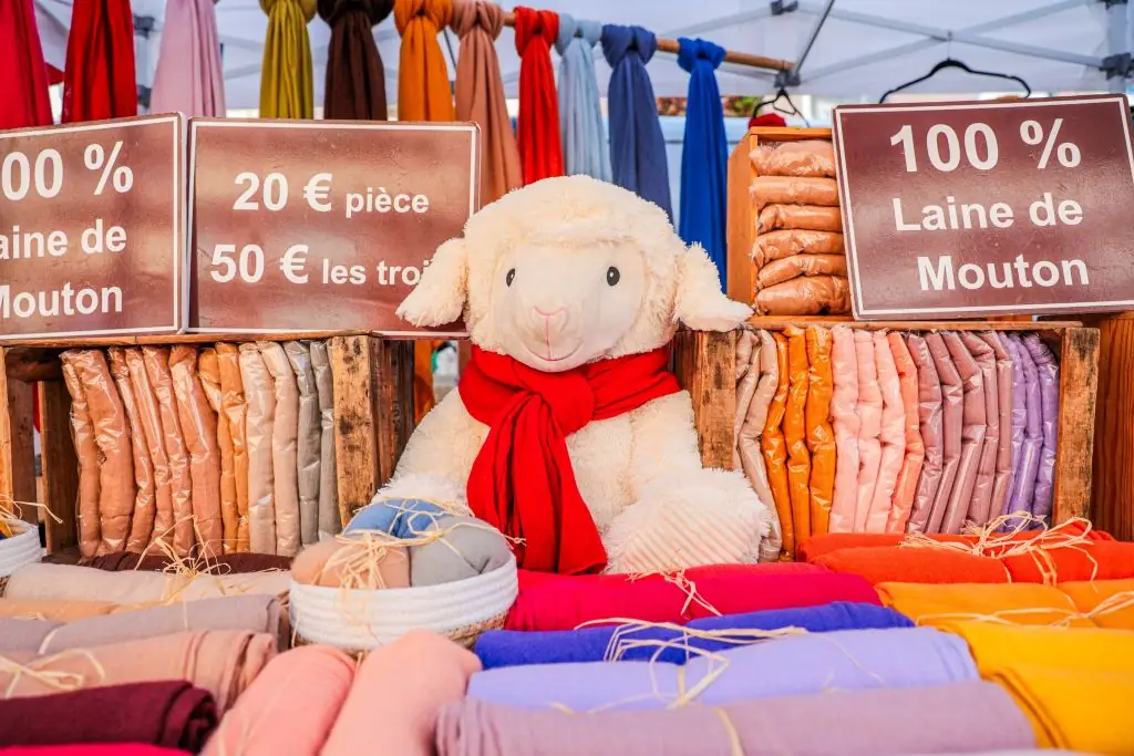 FOIRE DES CAMELOTS