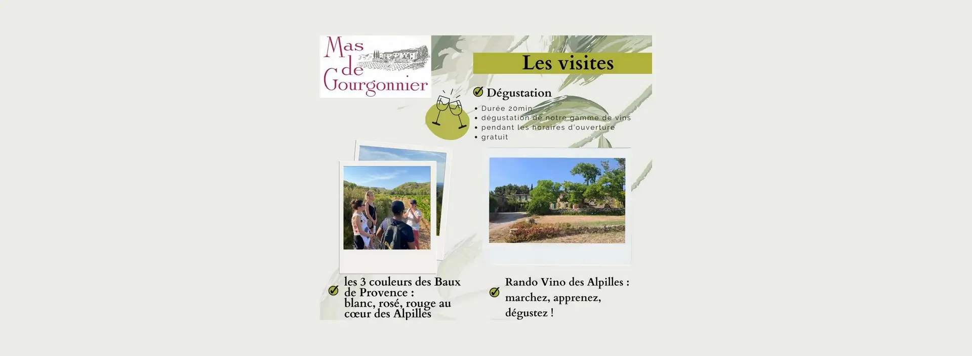 Visite du domaine viticole Mas de Gourgonnier - Rando vino