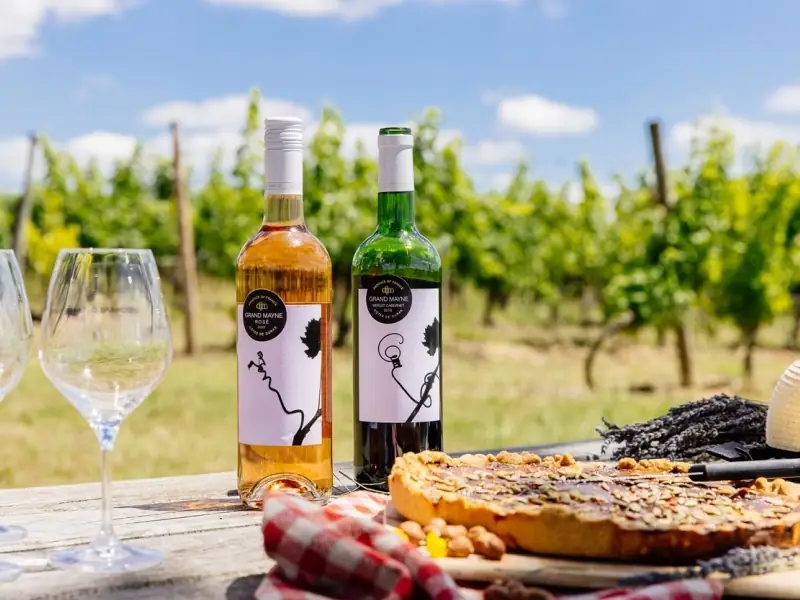 Tour du domaine et dégustation au Domaine du Grand Mayne