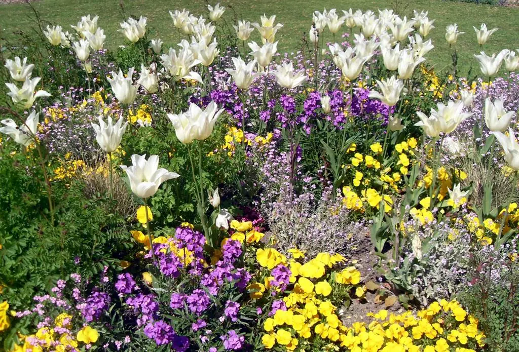 Ville sur Lumes "1 Fleur"