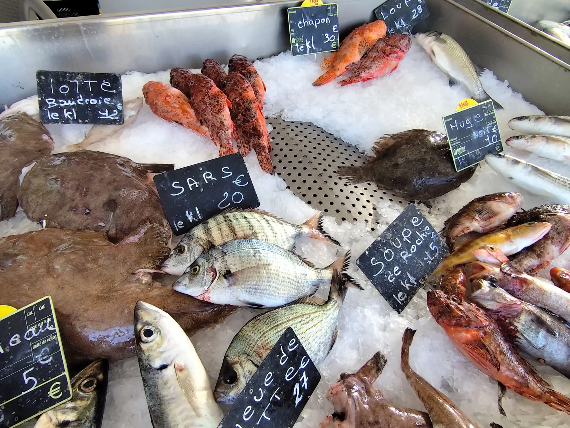 Marché aux poissons de Carro
