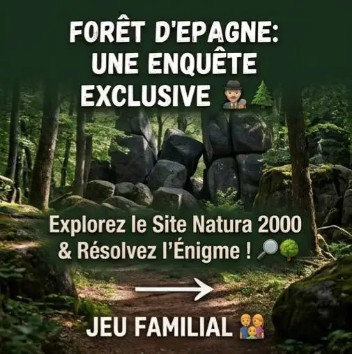 Mystère au coeur de la forêt