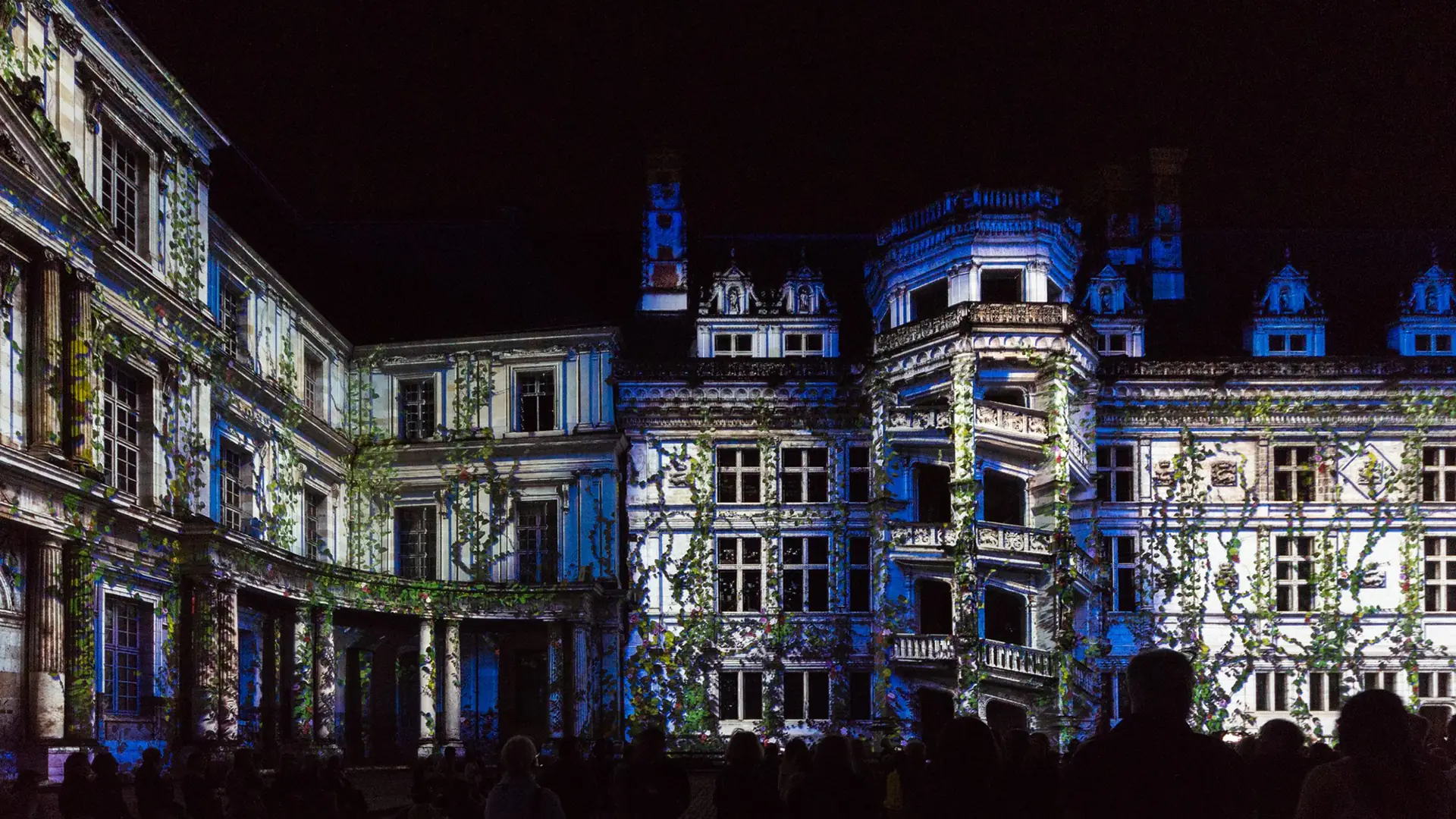 Spectacle Son et Lumière "Ainsi Blois vous est conté"