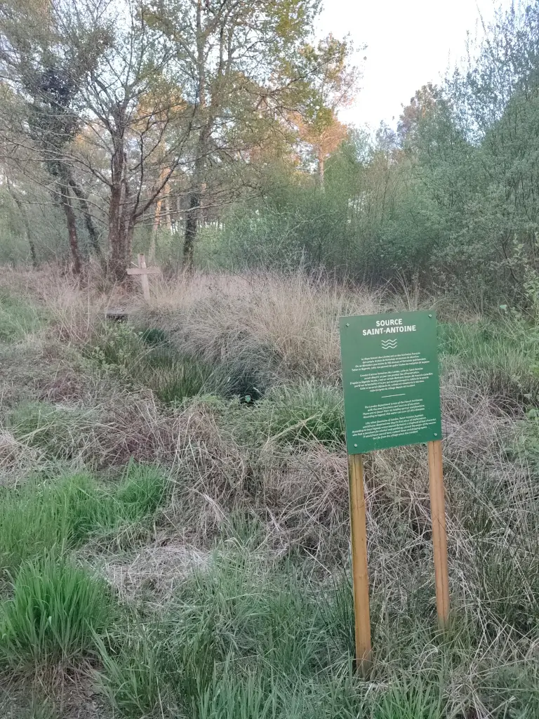 Source Saint Antoine
