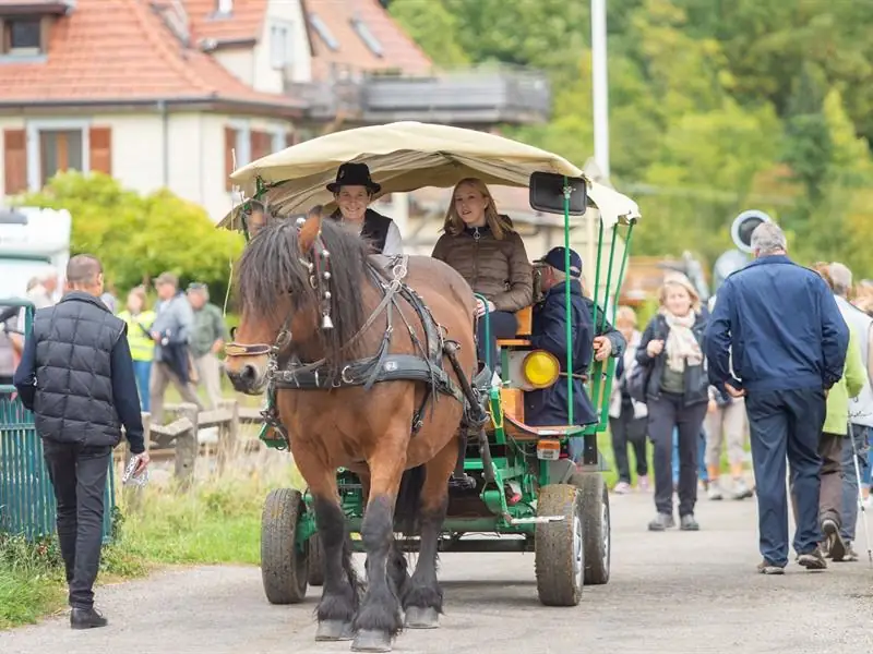 Fête de la Transhumance - Wandelfescht