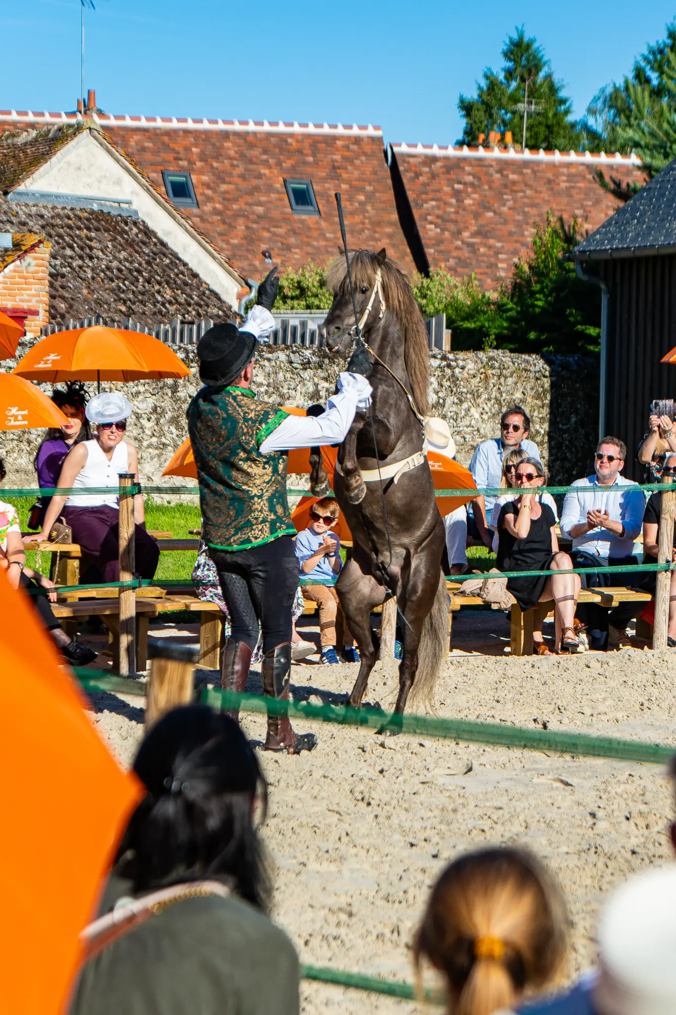 Spectacle équestre « Rencontre entre l’homme et le cheval »