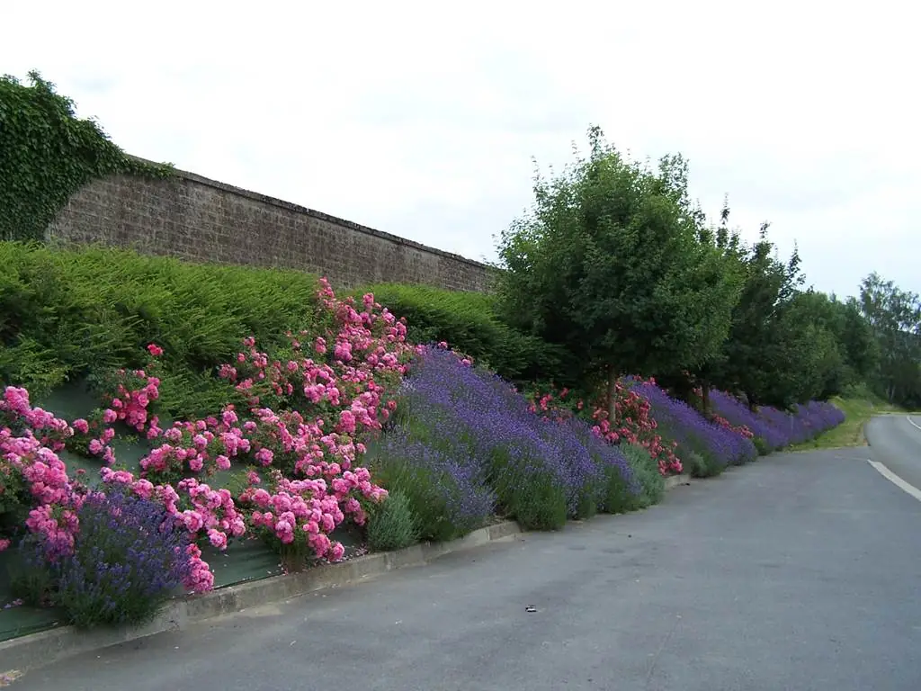 REMILLY AILLICOURT, Village Fleuri "2 Fleurs"