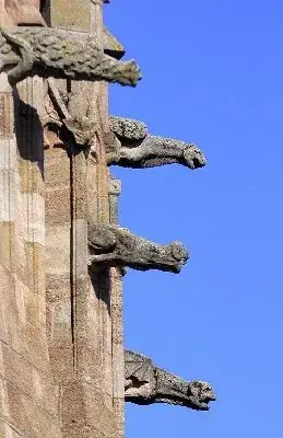 Visite guidée : La Cathédrale de Notre-Dame (groupes)