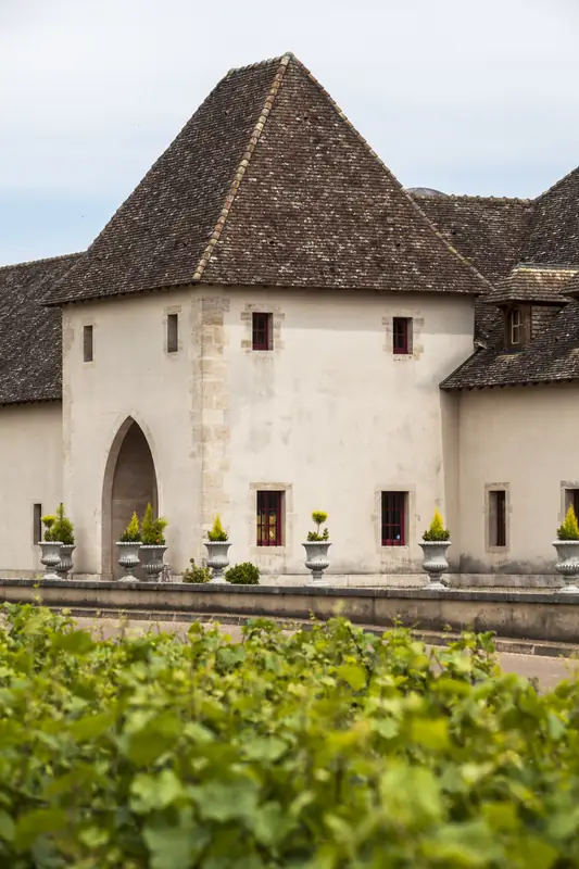 Château de Marsannay