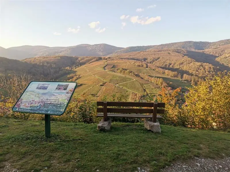 Albé