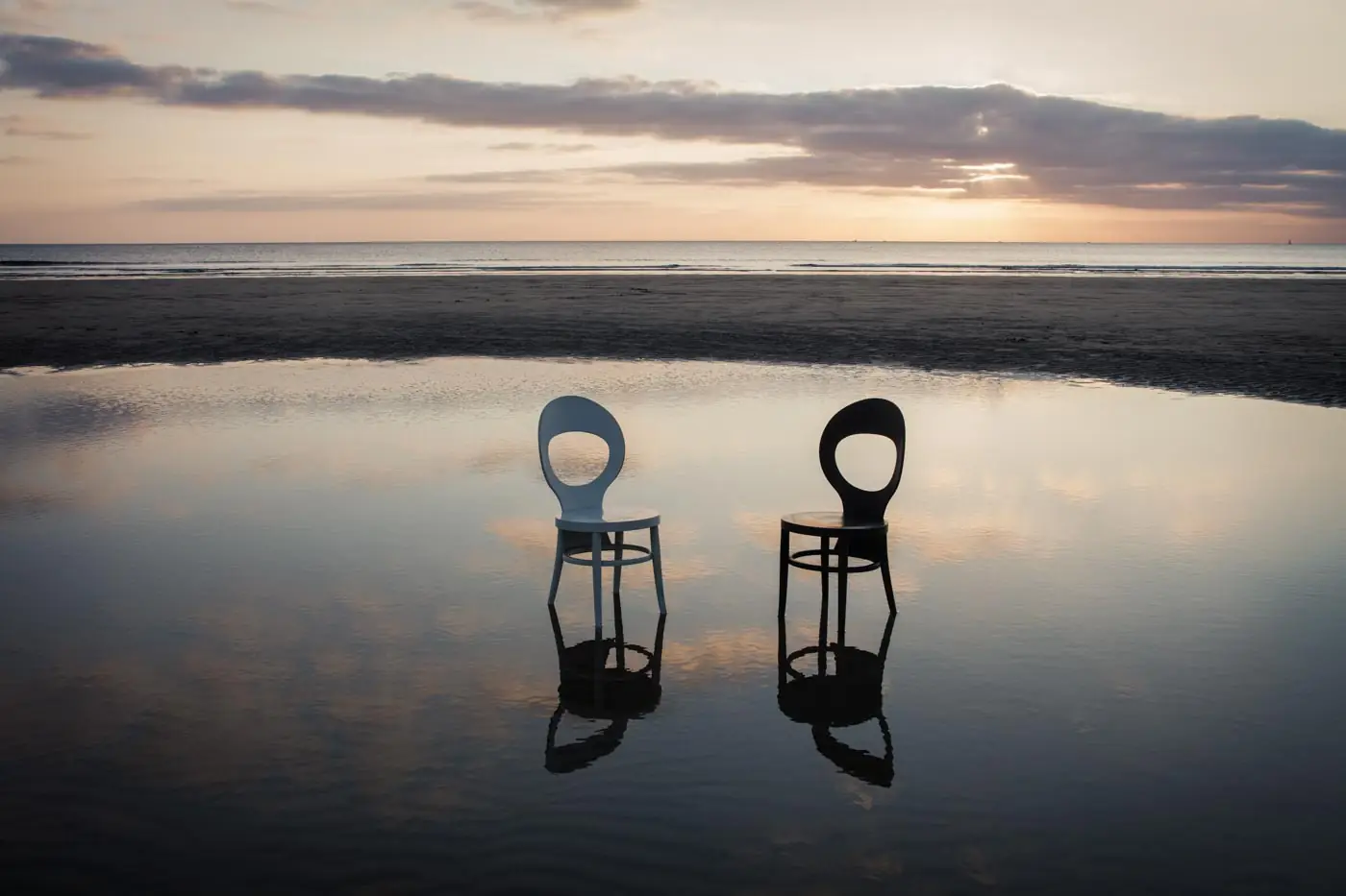 Exposition : ANN RAY // FRAGILE