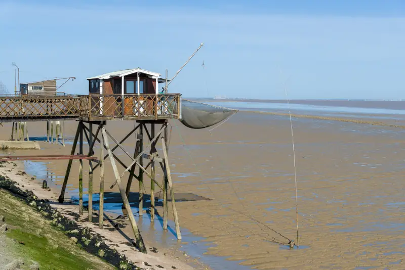 Carrelets de Pauillac