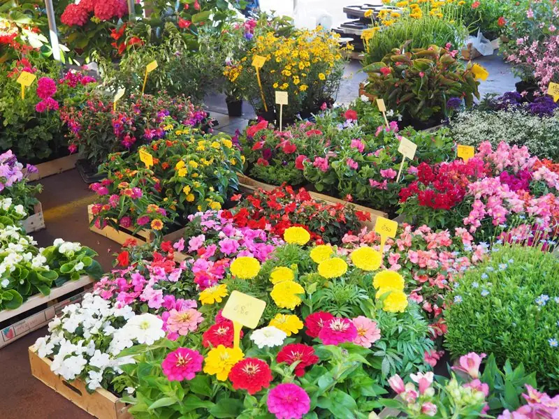 Marché traditionnel