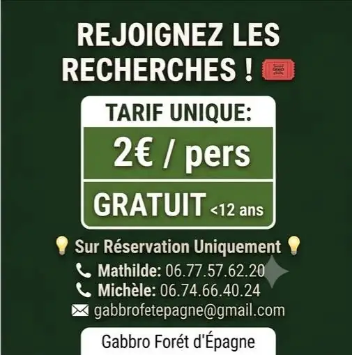 Mystère au coeur de la forêt