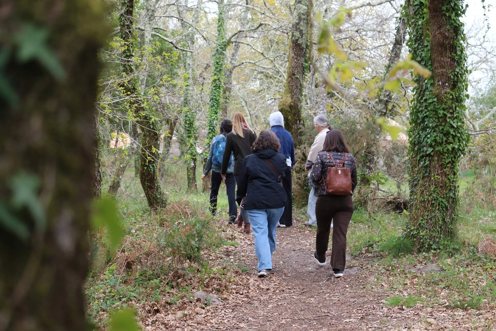 Balade sensorielle et immersive en forêt