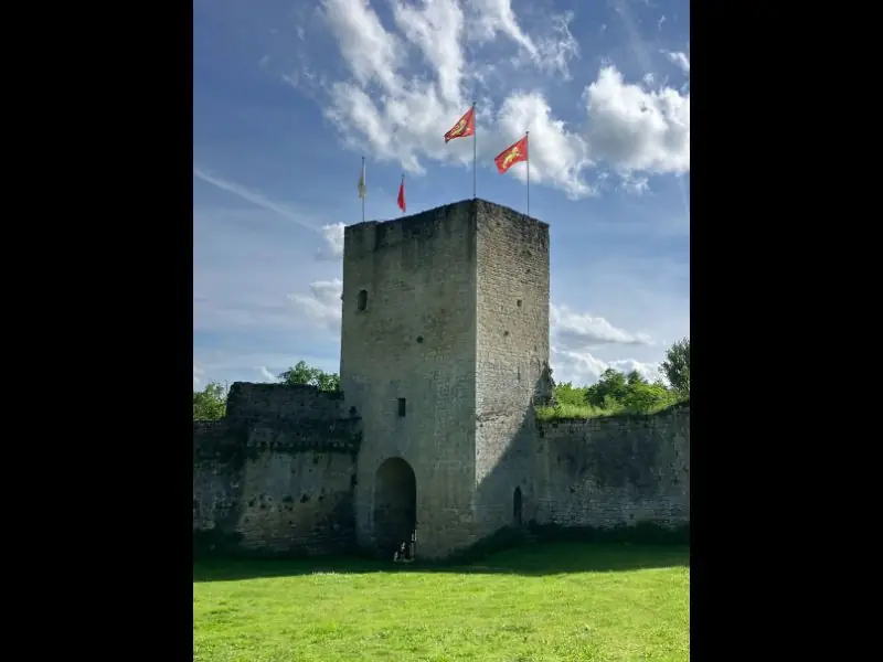 Castrum de Pommiers