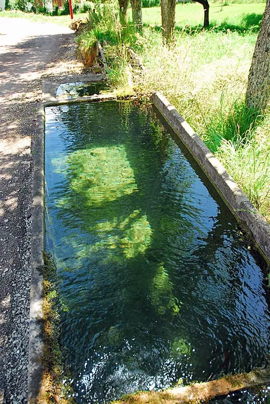 Fontaine de Pisse Doux à Vieux-Moulins