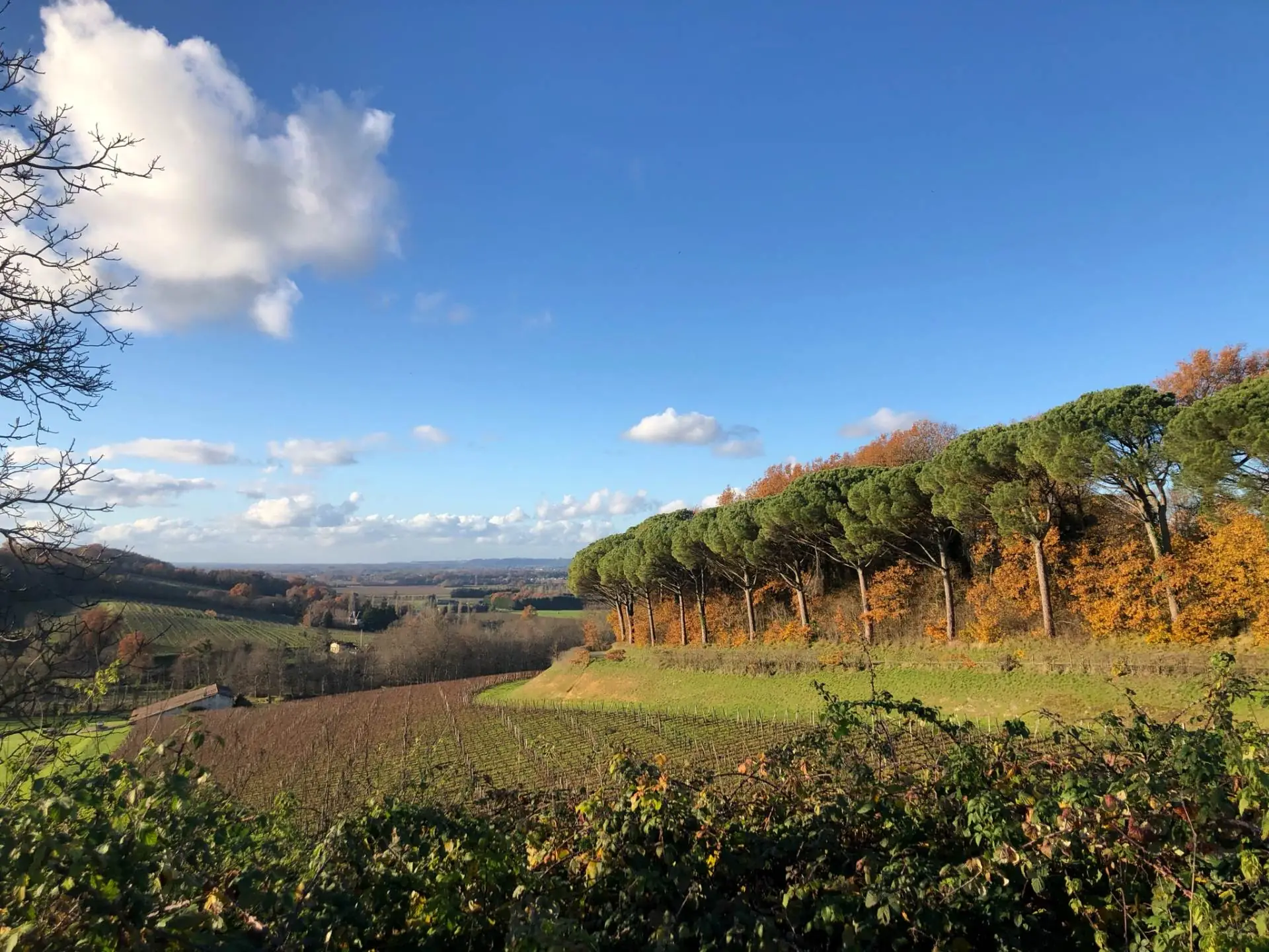 Village de Flaujagues