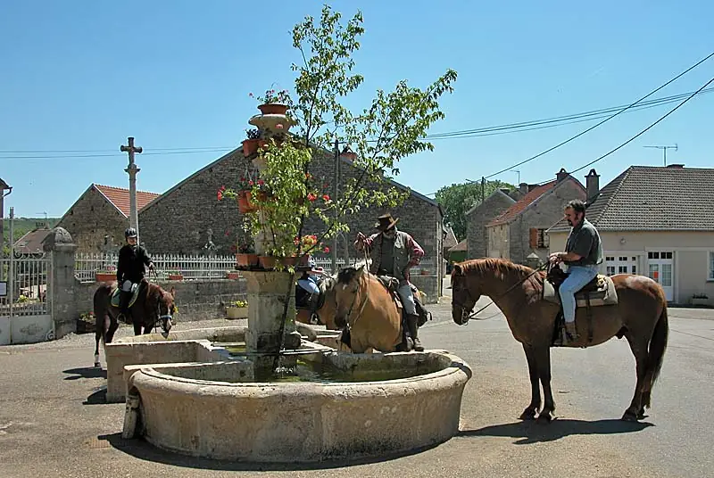 Fontaine de la Godelaine à Chatoillenot