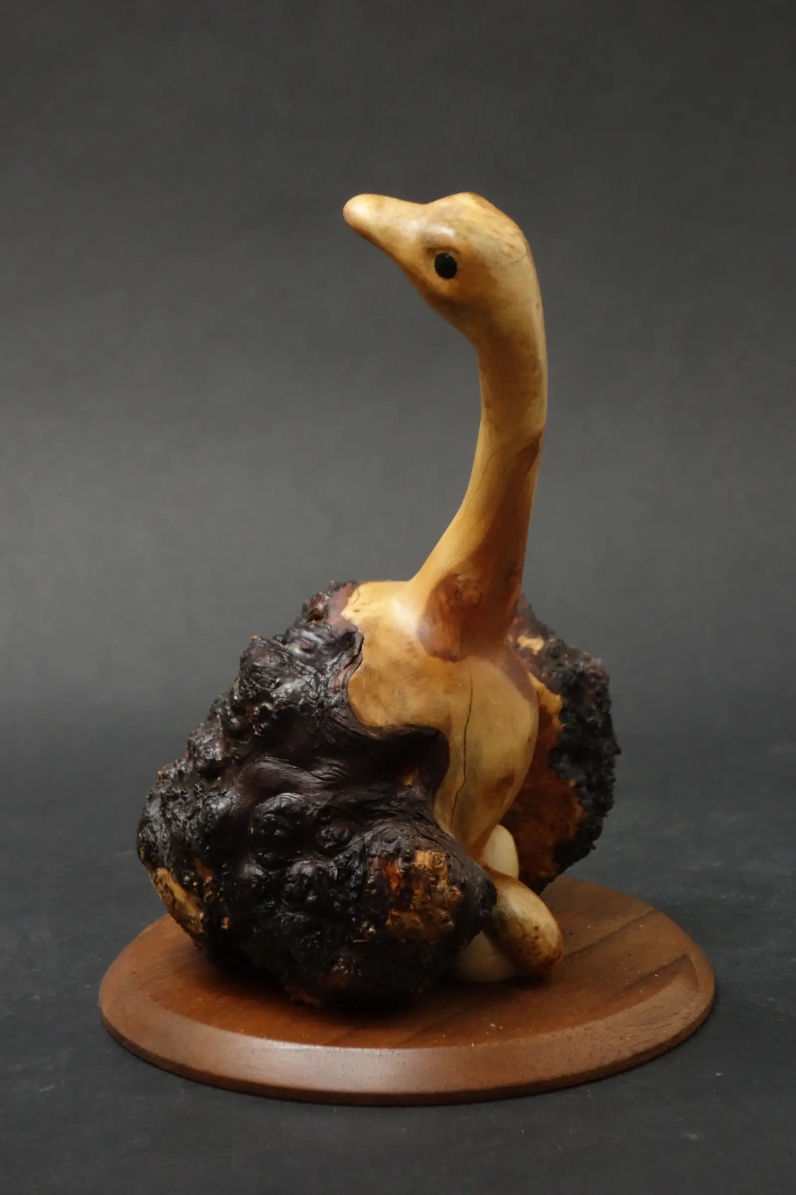 Exposition des sculptures de Christian Delacoux