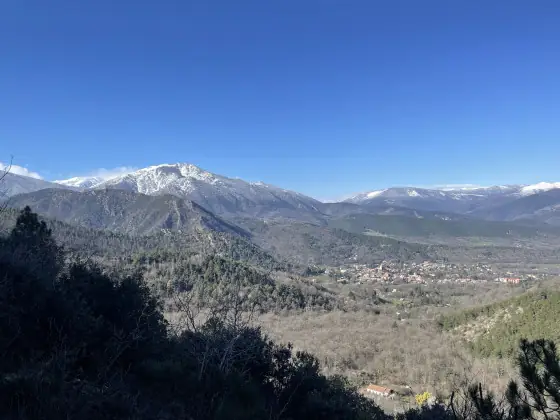 RANDO ACCOMPAGNEE : BOUCLE FORESTIERE VERS LE BALCON DU COGULLO