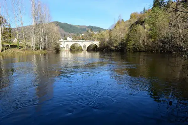 Lâchers de truites sur le Lot à Entraygues-sur-Truyère