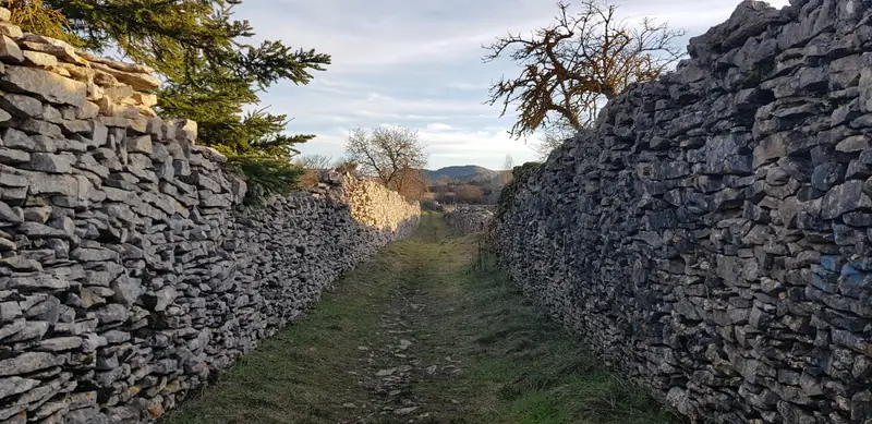 PLATEAU DE LA CHAM