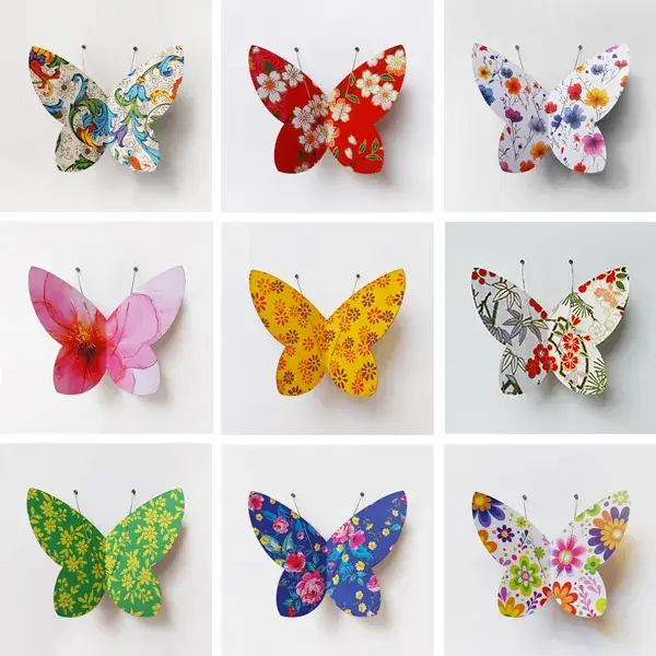 Les Papillons de Conques