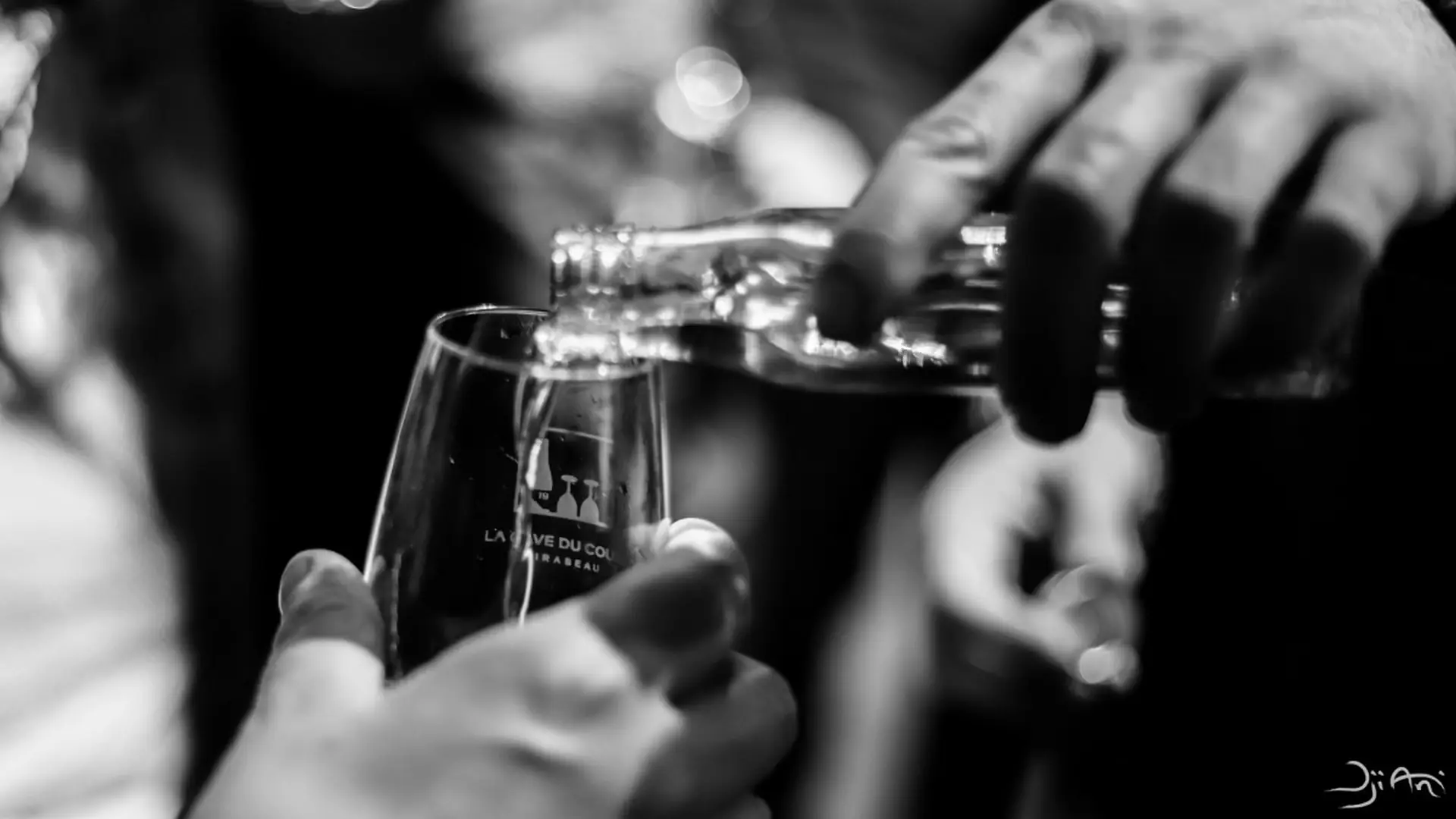Dégustation de vins de Provence et de fromage
