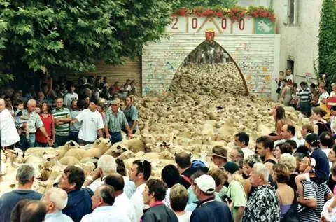 Fête des tondailles de Martel
