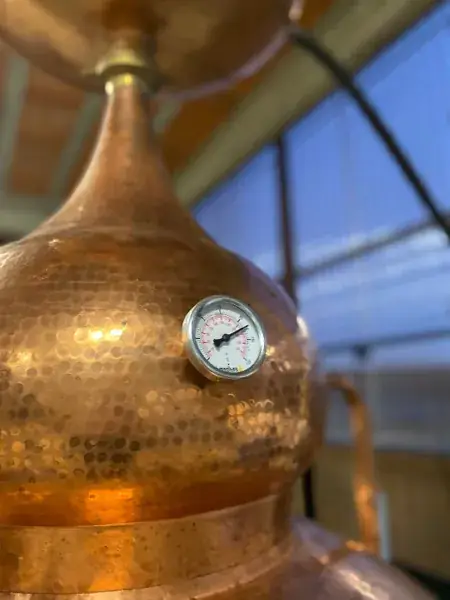 Les Potions d'Oc