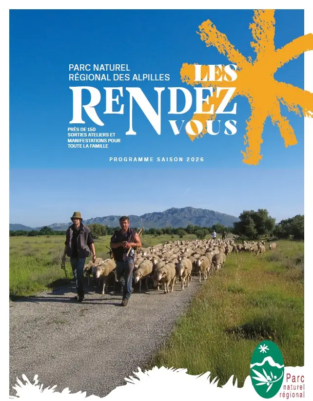 Balade nature : Herbier des Alpilles