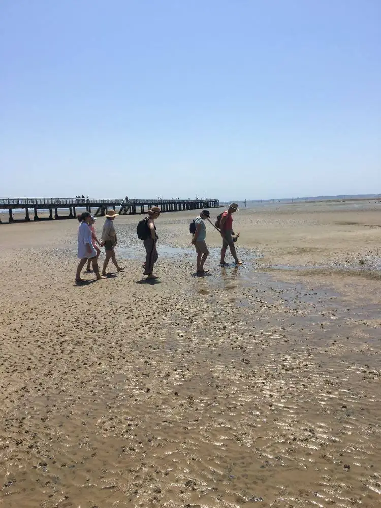 Les trésors de la plage à marée basse