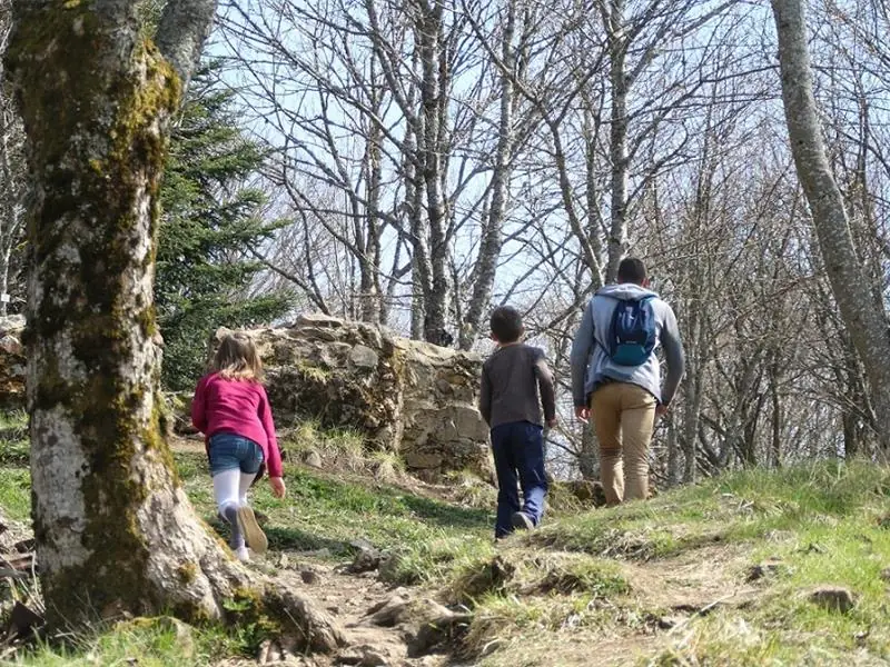 Atelier : immersion au cœur de la forêt de Thann