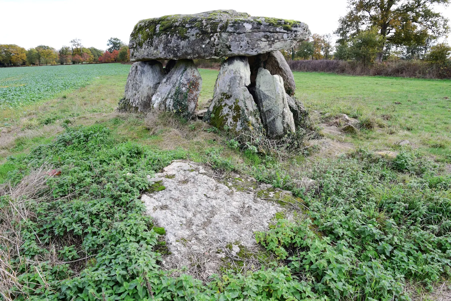 Dolmen de la Betoulle