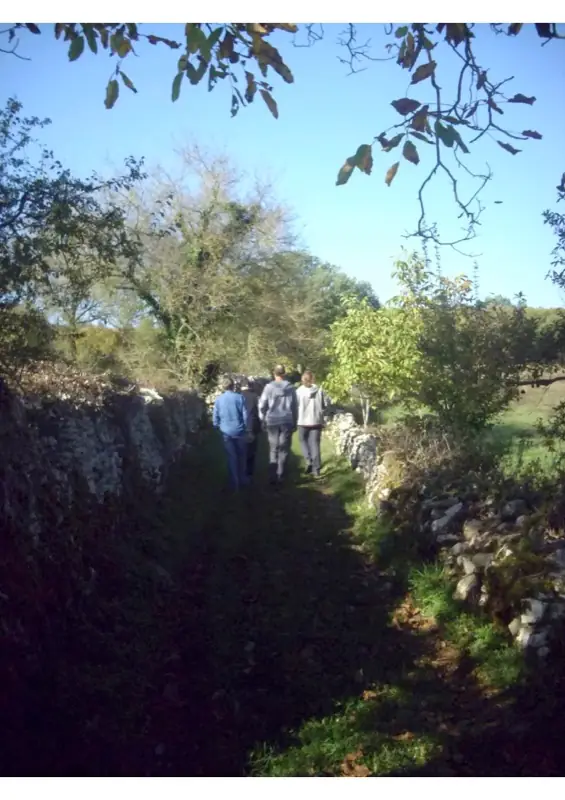Journée d'initiation à la réfection des Murets en pierre sèche.