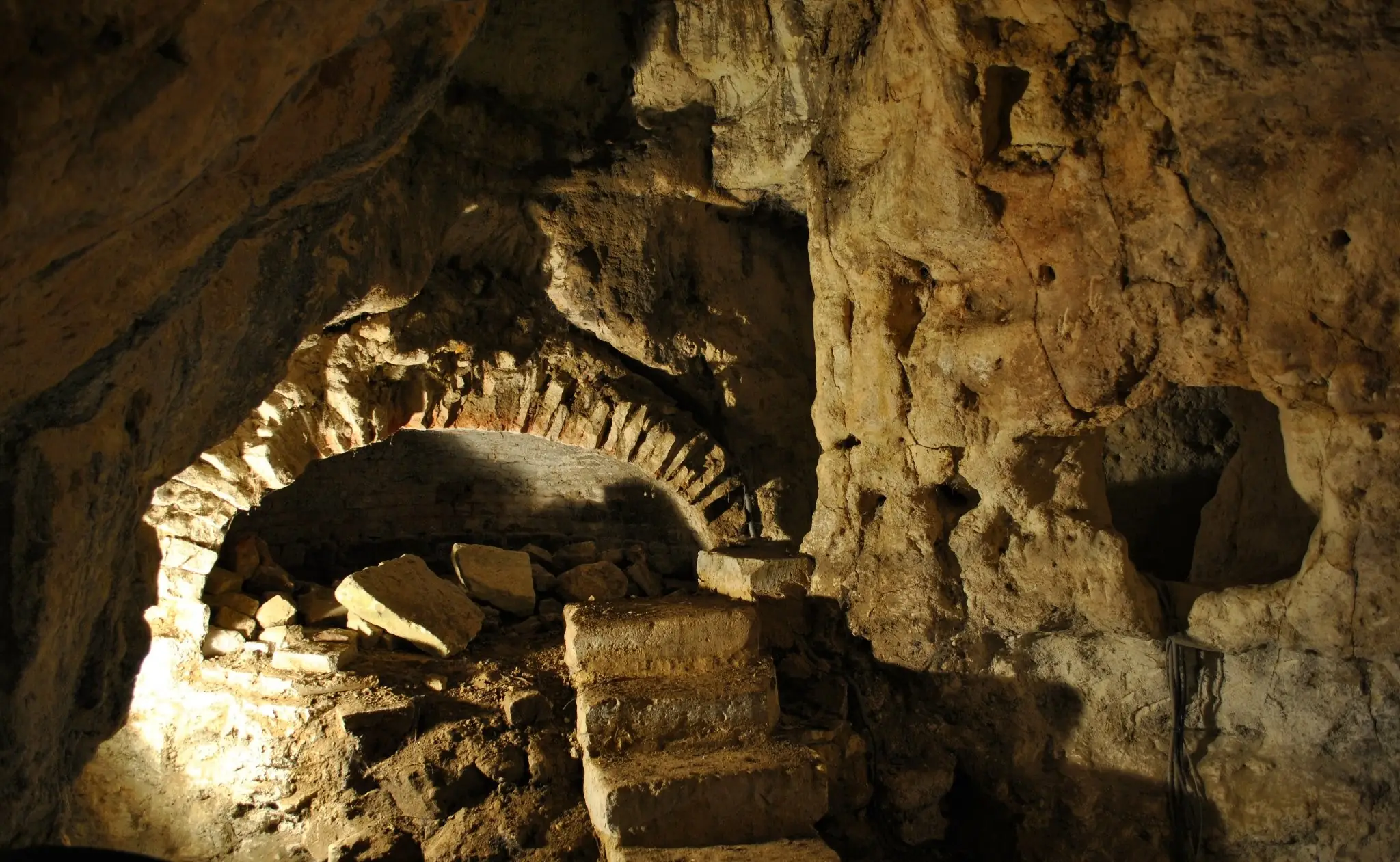 Troglodytes de la Tourette
