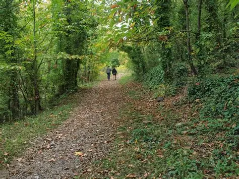 RANDO ACCOMPAGNEE : BOUCLE EN FORET VERS LES VESTIGES MINIERS DU SALVER