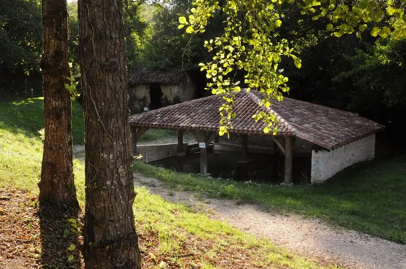 Fontaine et lavoir Saint-Vincent