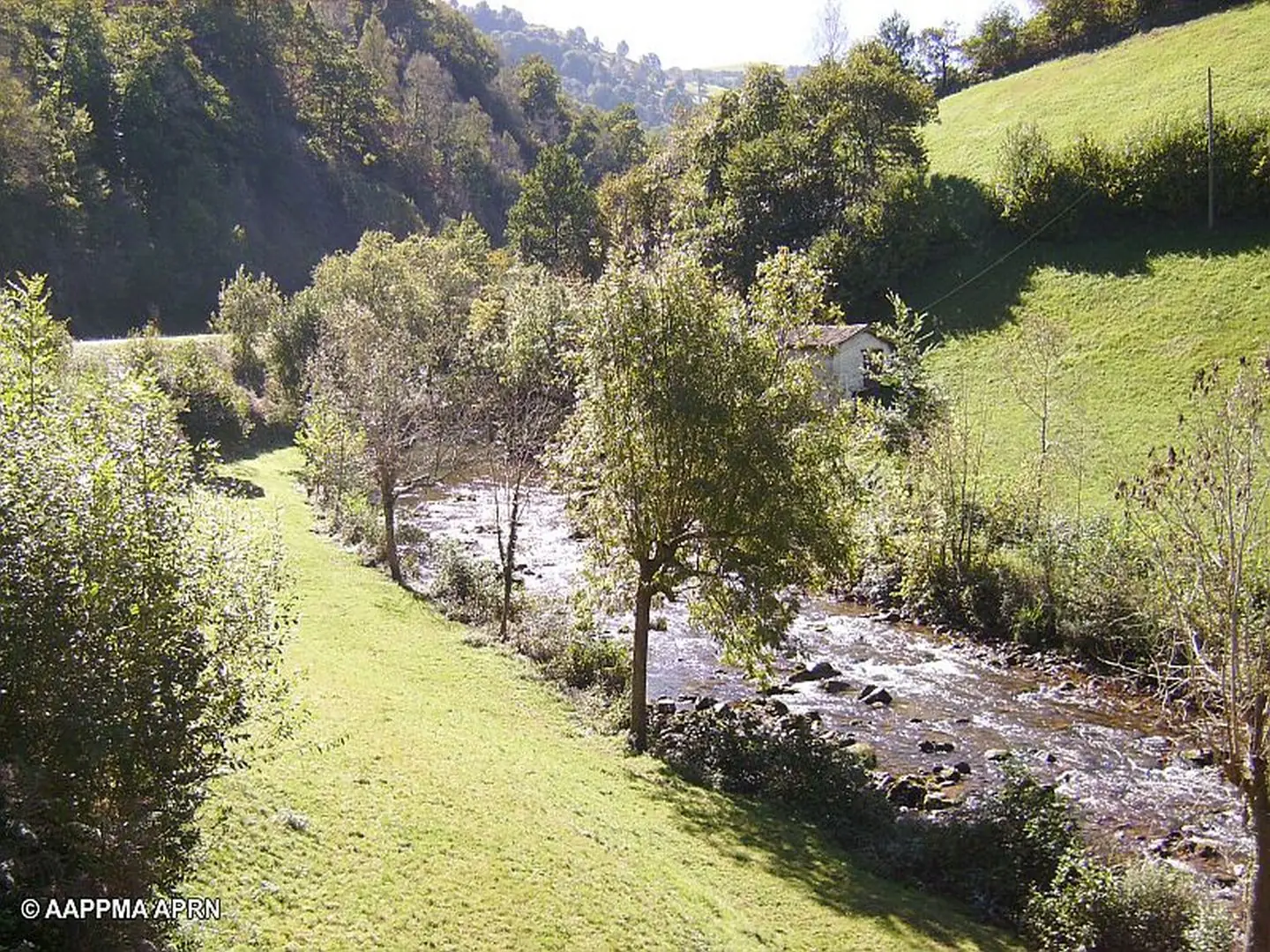Les rdv nature : WE camp de prospection odonates